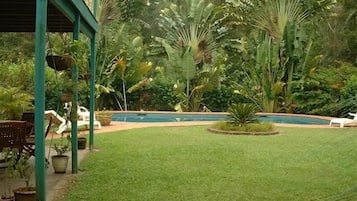 Outdoor pool, pool umbrellas, pool loungers