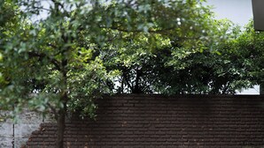 Eine Person sitzt in einem Café im Freien, liest ein Buch. Im Hintergrund sind Backsteinwände und Metallstühle zu sehen.