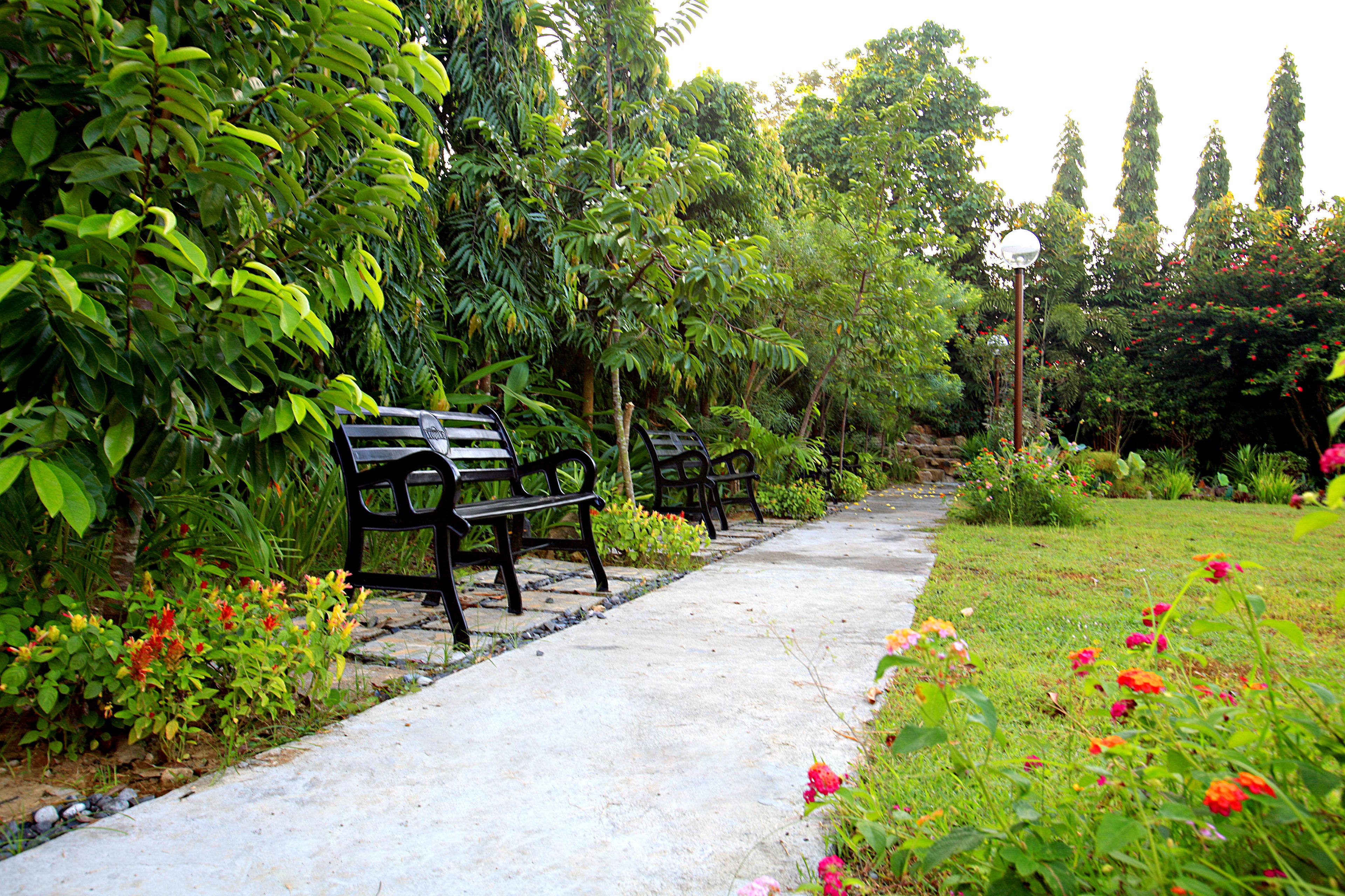 A pathway lined with benches and surrounded by lush greenery and flowers.