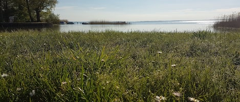 Un campo cubierto de hierba con un lago y árboles al fondo.