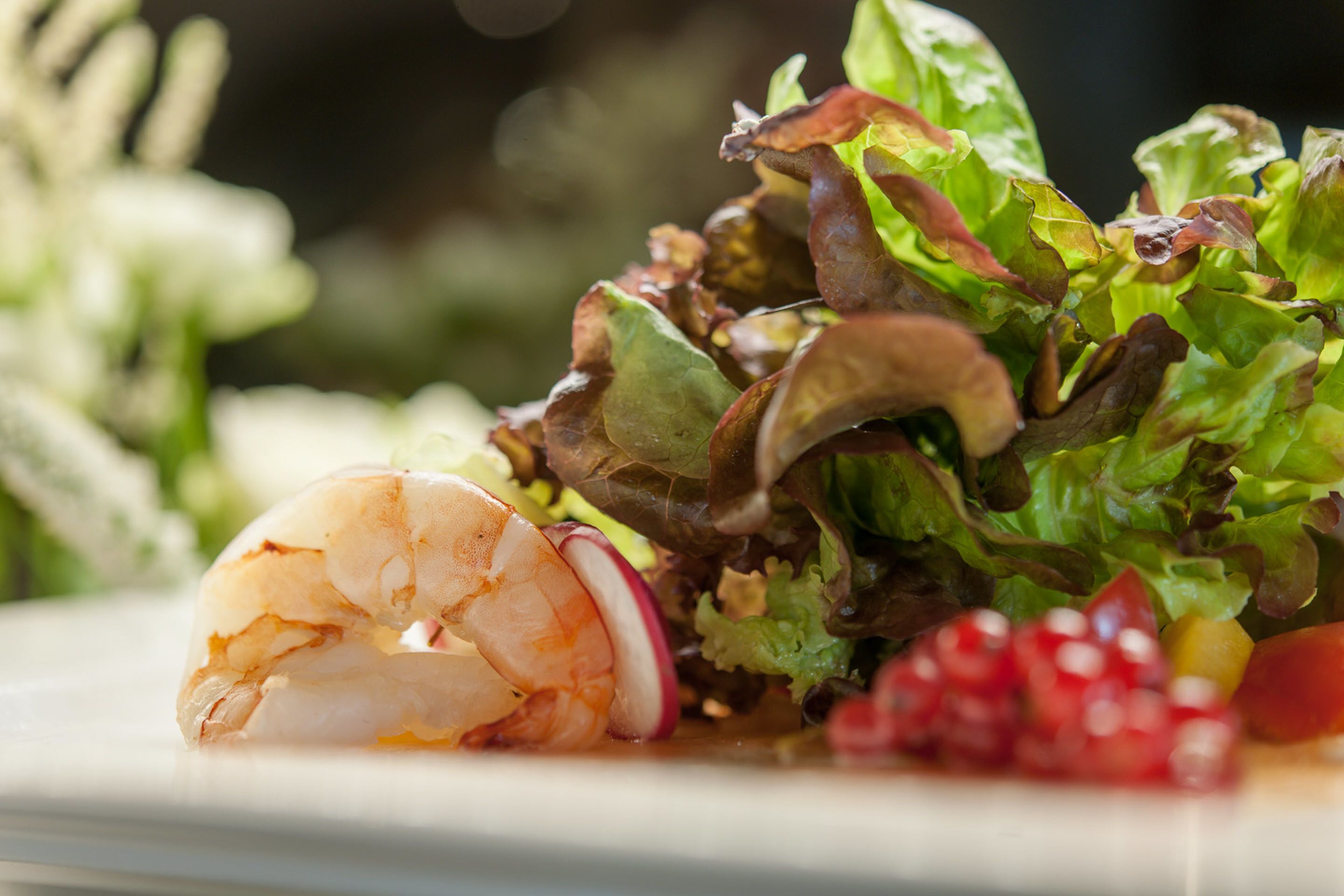 A plate with shrimp, lettuce, radish, and pomegranate seeds.