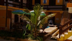 A courtyard with a palm tree, a staircase, and a building with yellow walls and a tiled floor. - Pousada Praia do Jabaquara (Paraty)