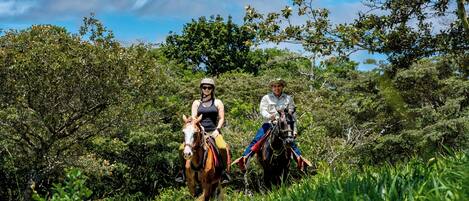 Dos personas montando a caballo en un paisaje exuberante, verde y con abundante follaje y árboles.