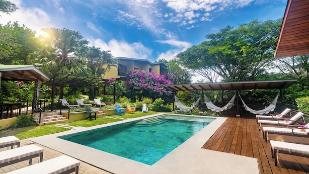 A swimming pool with lounge chairs, a wooden deck, and a garden with tropical plants and a hammock.