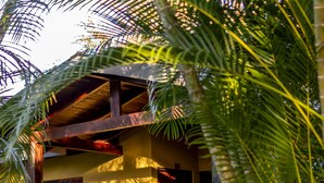 A wooden structure with a porch, surrounded by lush greenery and white flowers.
