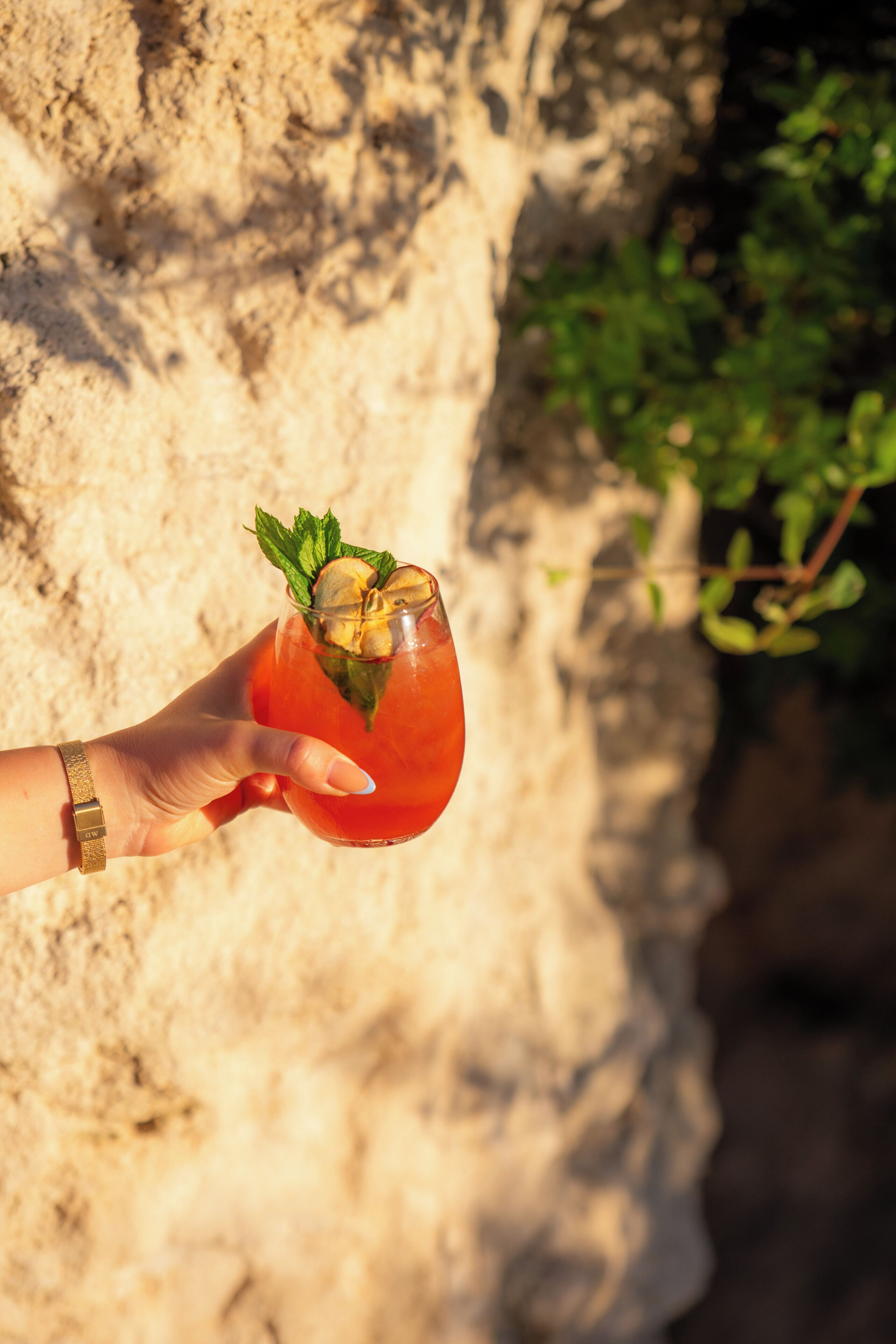 A hand holding a glass with a red beverage, garnished with mint leaves and lemon slices, against a backdrop of a textured wall and greenery.