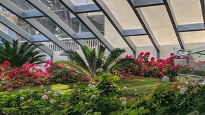 A modern building with a glass facade and a landscaped garden with various plants and flowers. - Aegean Blue Beach Hotel (Nea Propontida)