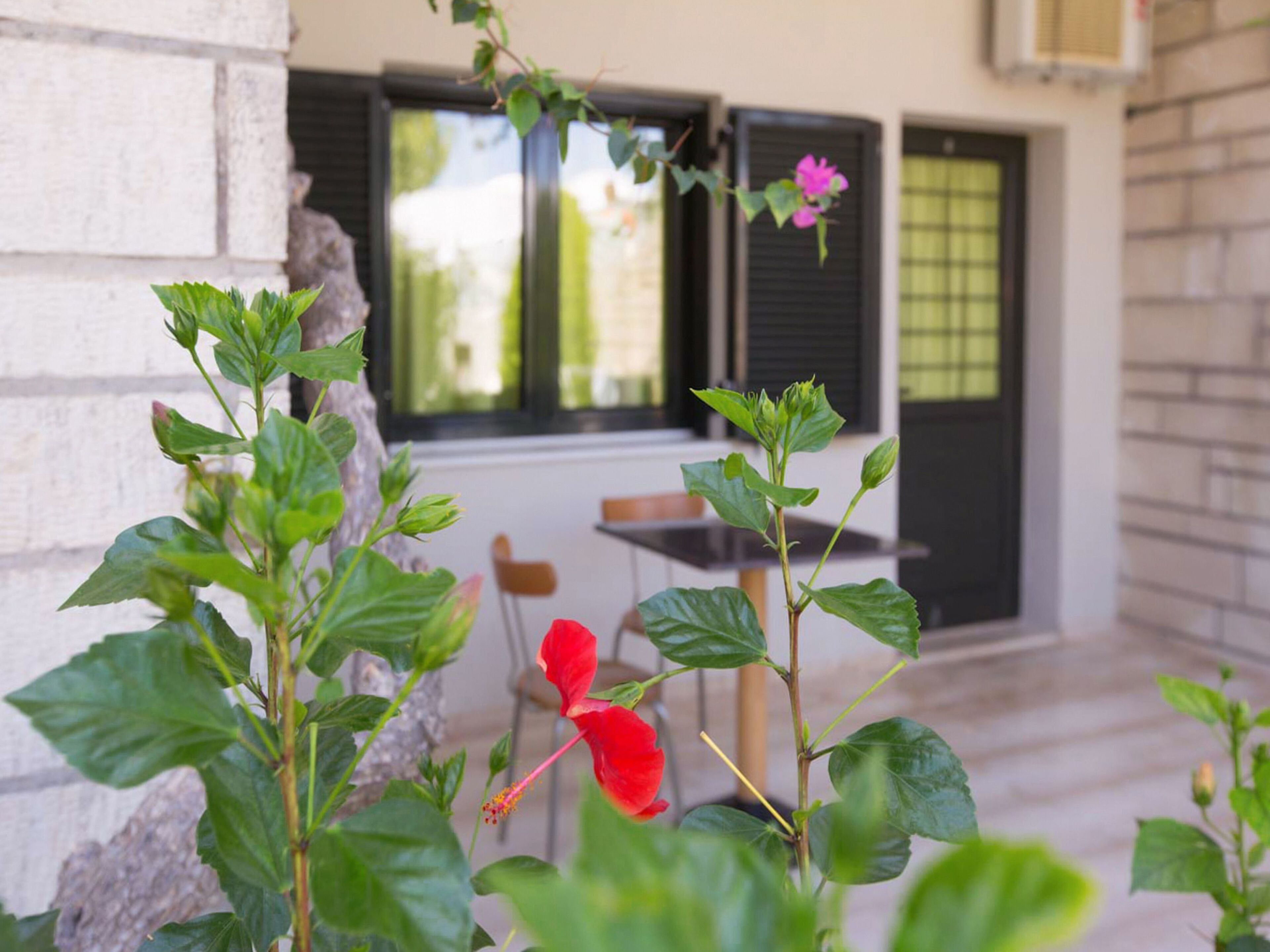 apartment, 1 bedroom, garden view | 1 bedroom, individually decorated, individually furnished, desk