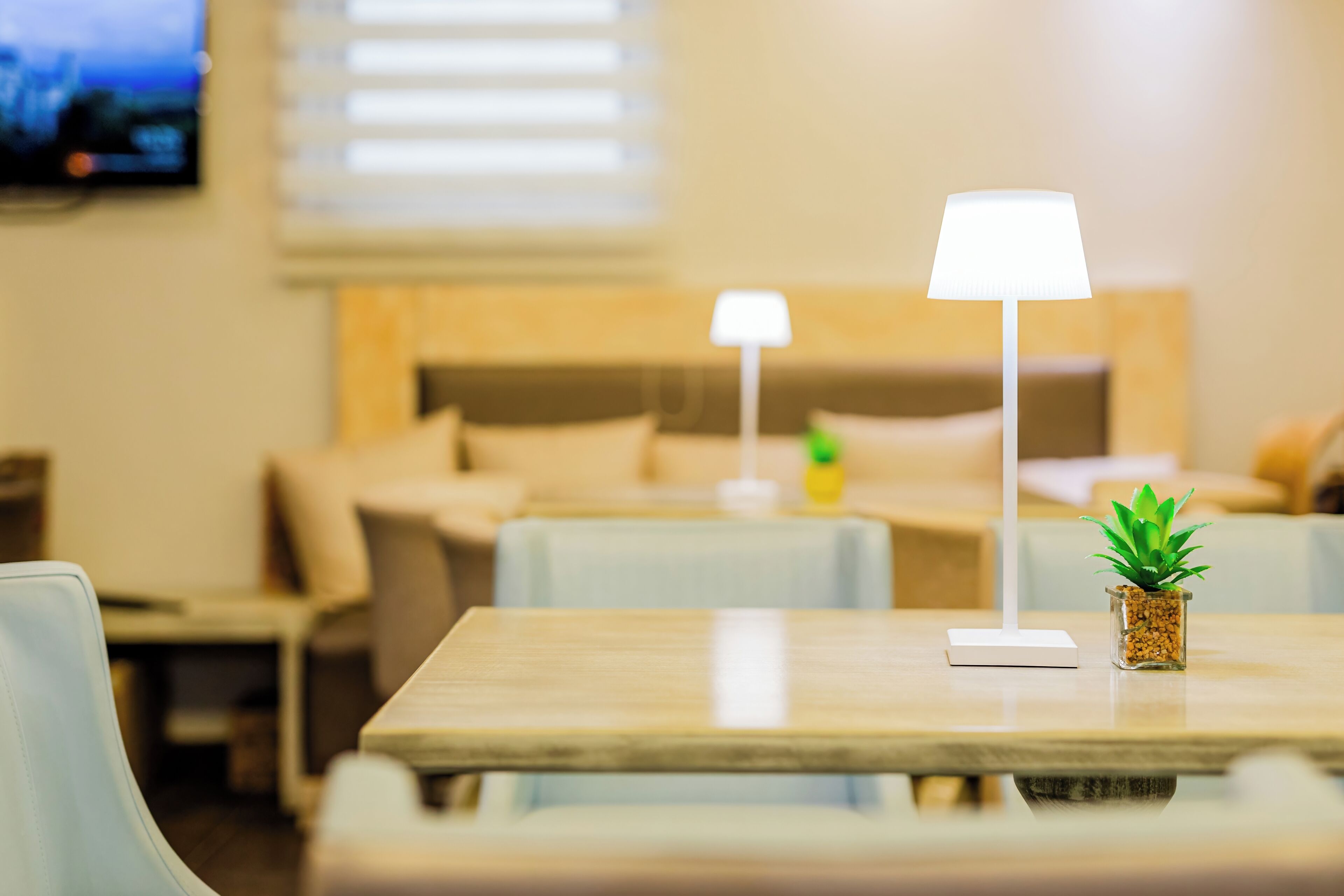 A hotel room with a bed, a bedside table with a lamp, a small plant, and a TV mounted on the wall.