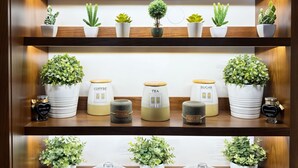 A shelf with various potted plants and containers of tea and coffee.