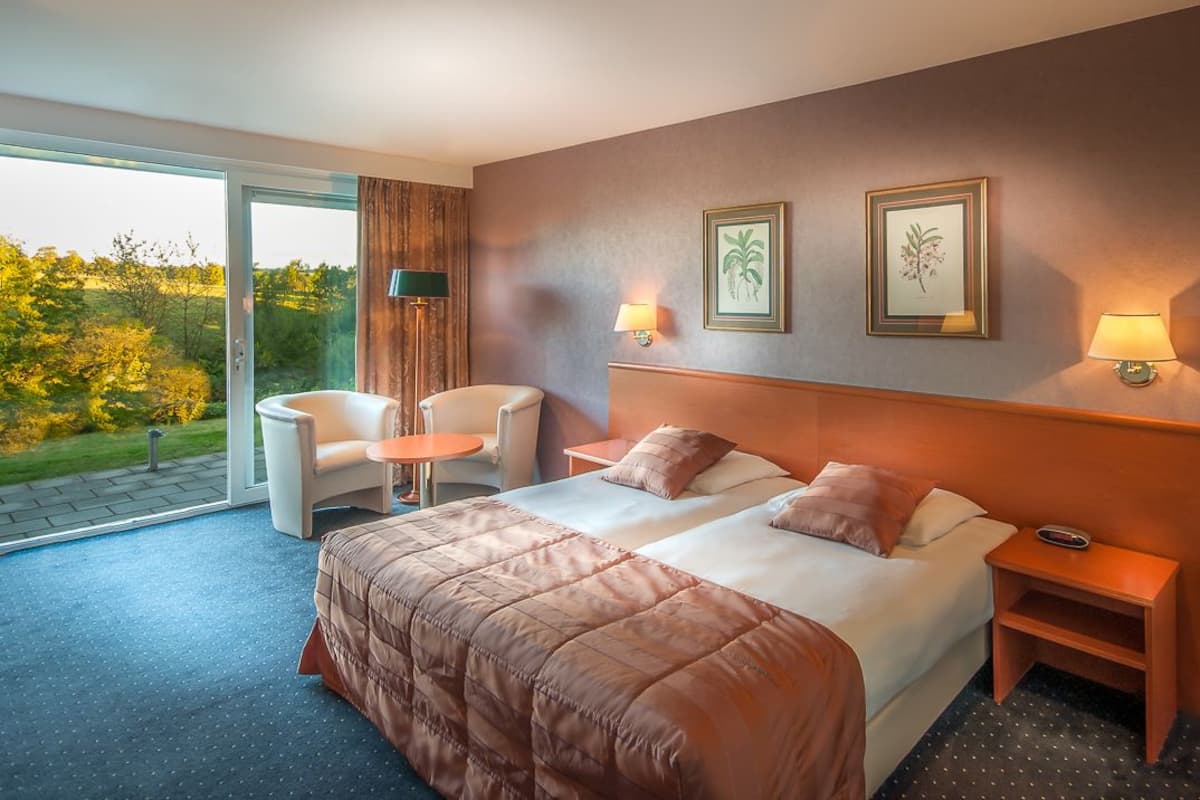 Chambre panoramique double | Coffre-fort, bureau, lit de bébé (supplément), accès au Wi-Fi (inclus)