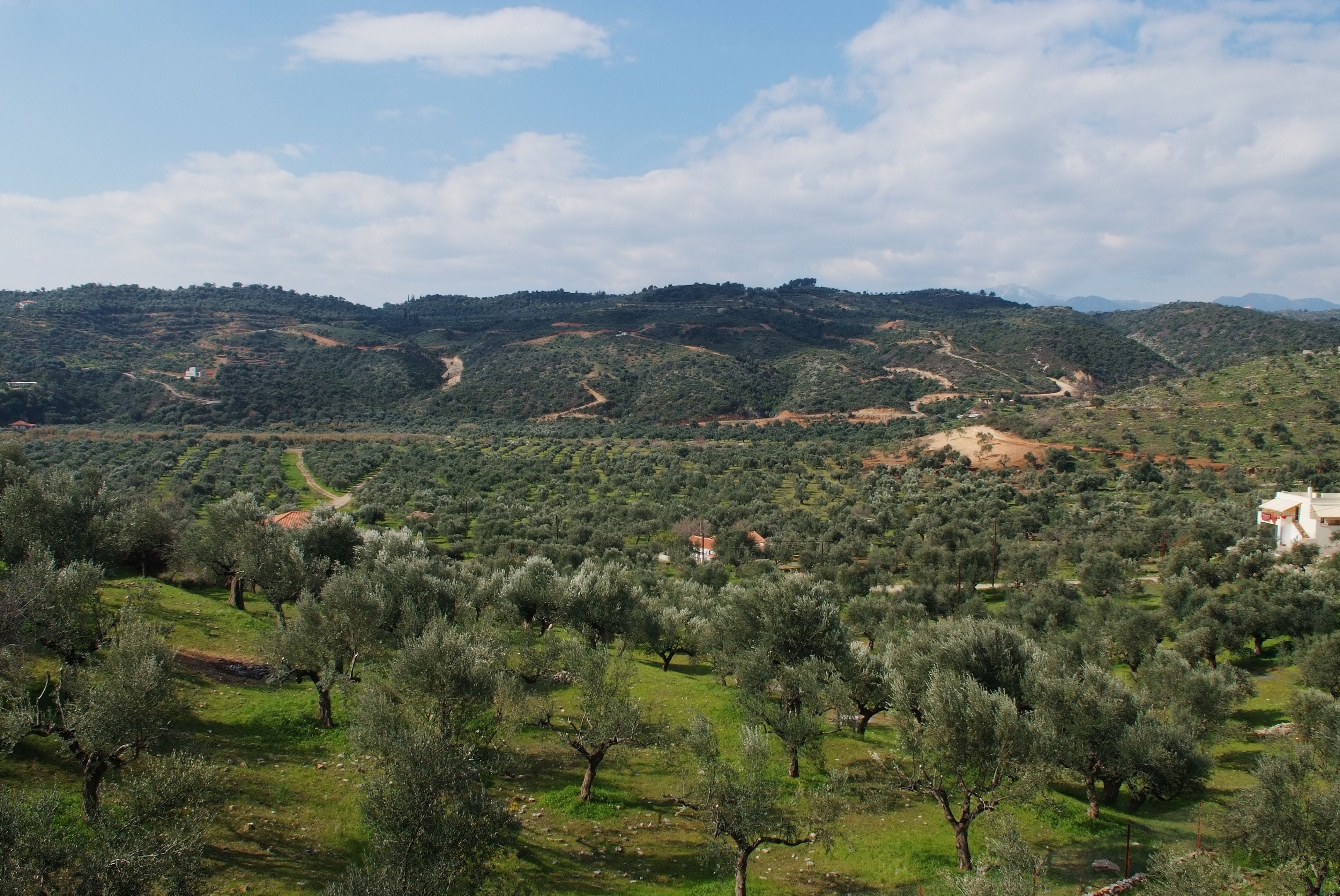 comfort studio, 1 bedroom, kitchen (2 people) | balcony view