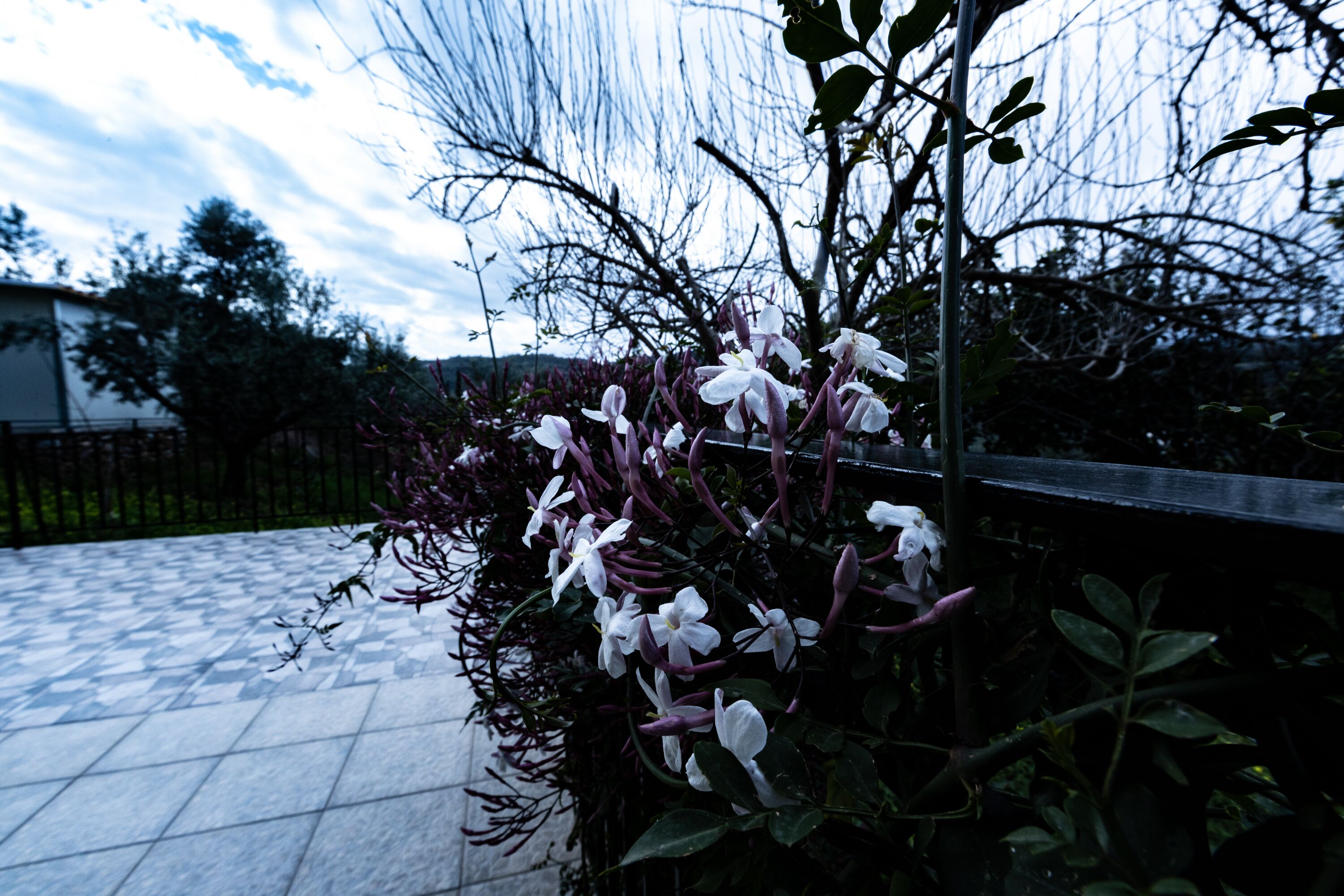 family apartment, 2 bedrooms, mountain view | terrace/patio