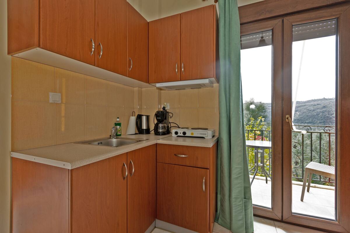 comfort studio, 1 bedroom, kitchen (2 people) | private kitchen | full-sized fridge, microwave, stovetop, dishwasher