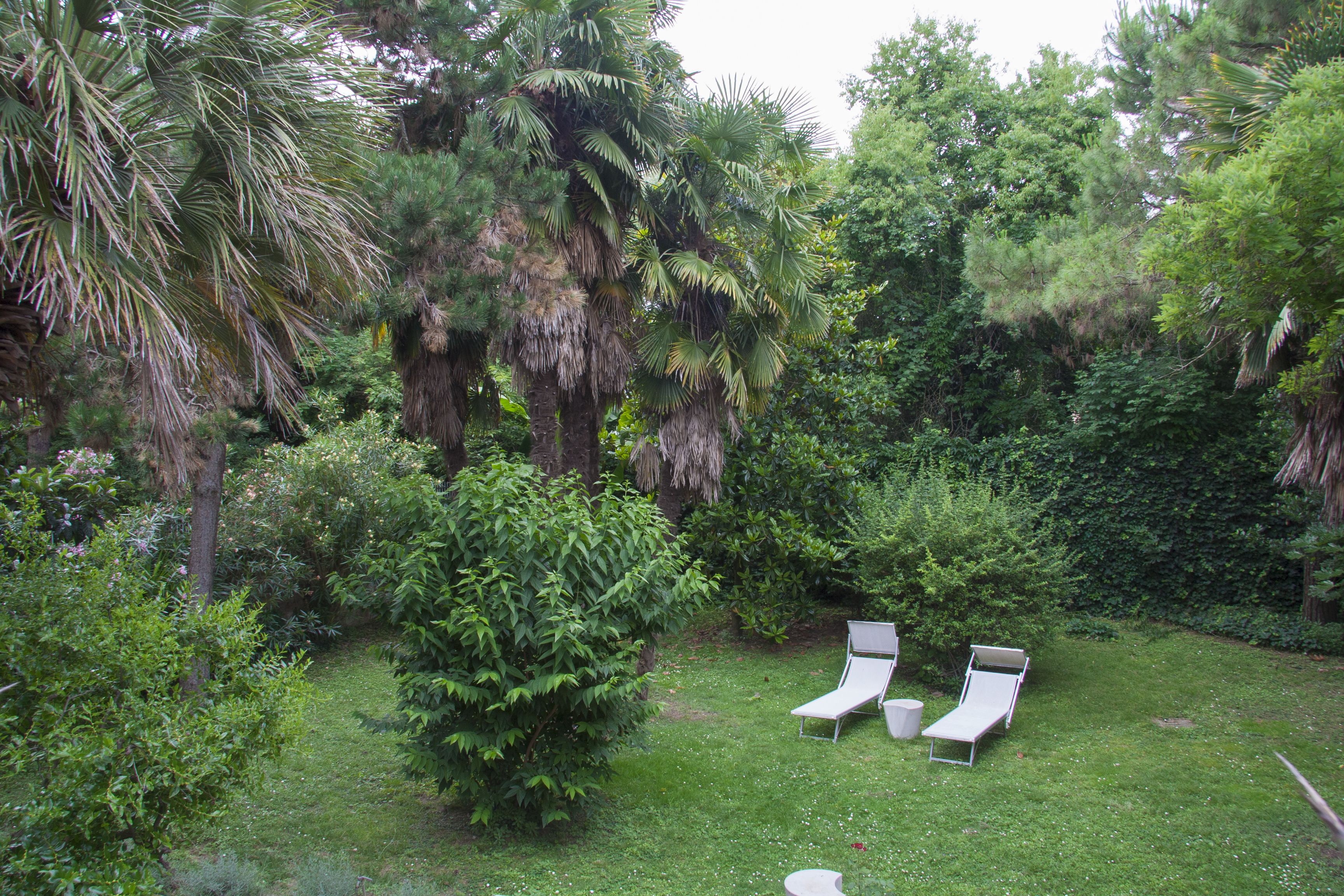 A lush garden with two white lounge chairs and a small table.