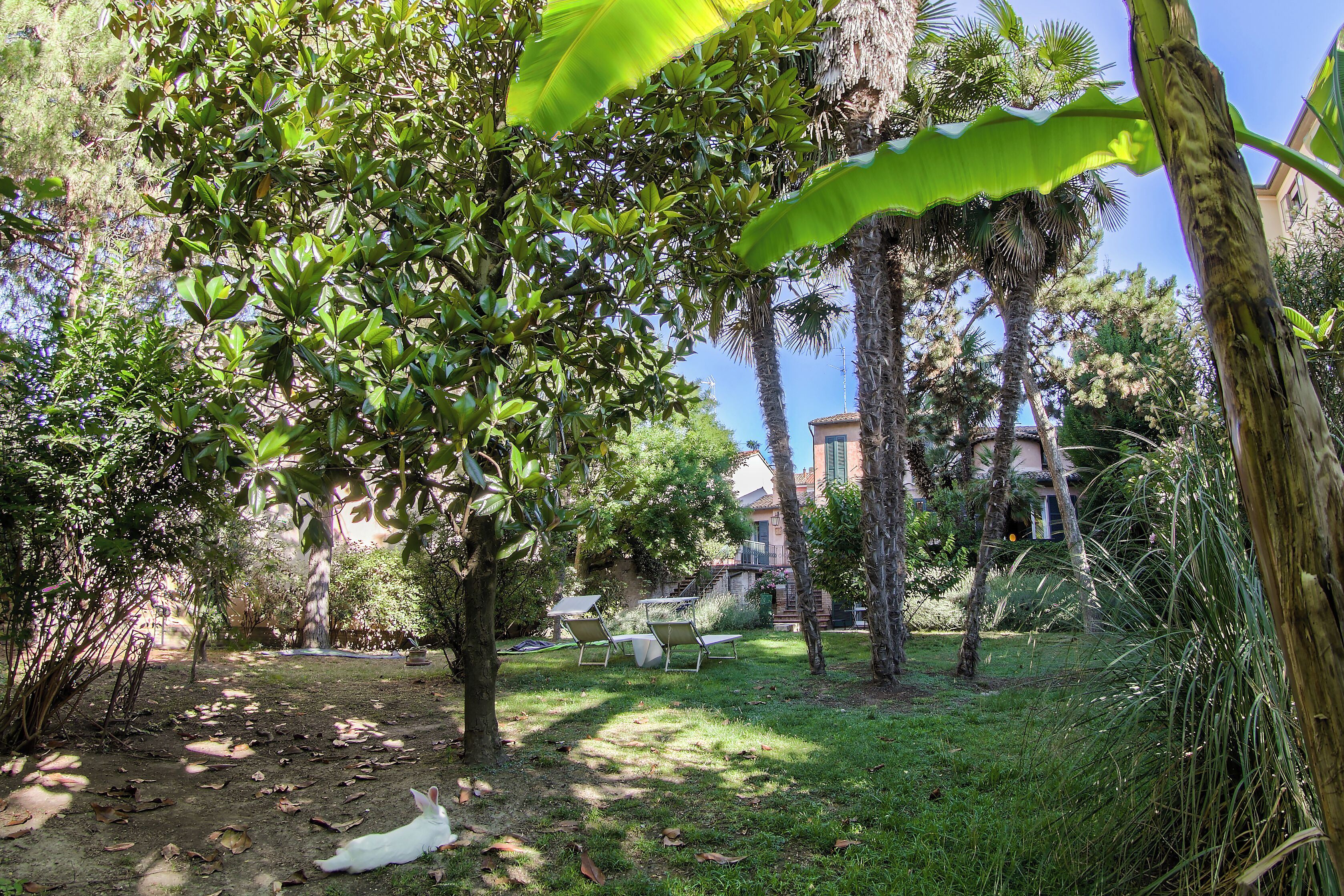 Photo - Ai Giardini di San Vitale