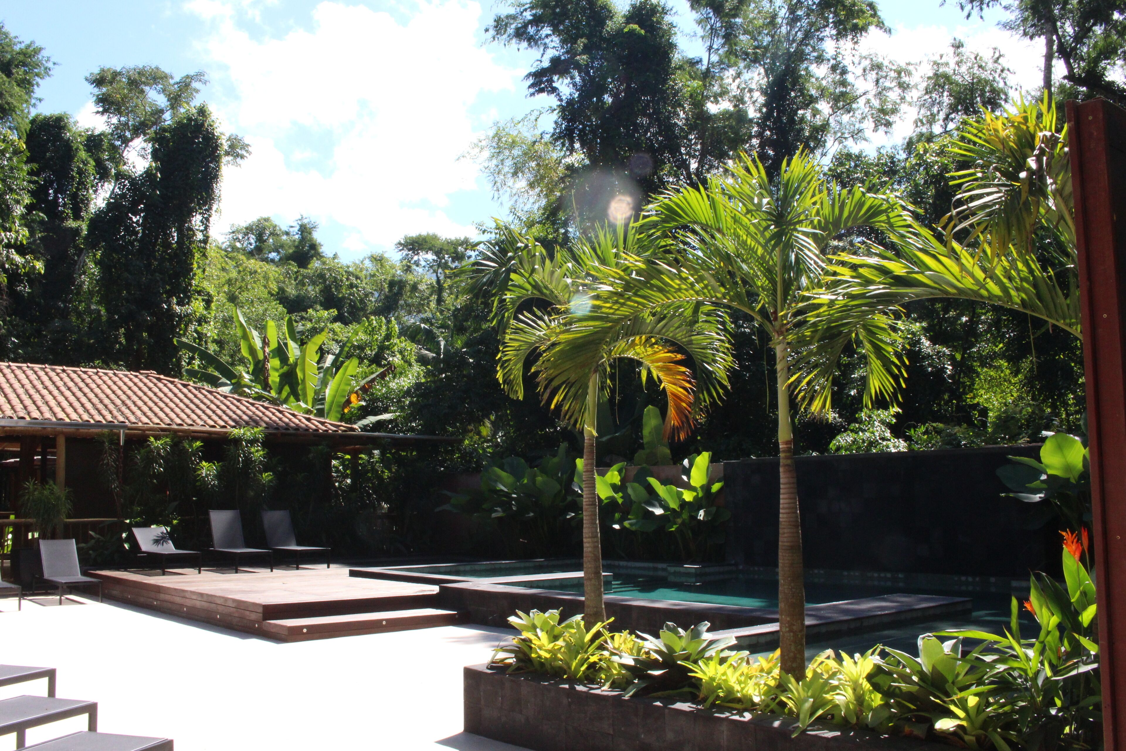 Outdoor pool, pool loungers