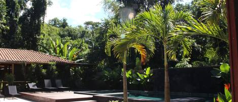Outdoor pool, pool loungers
