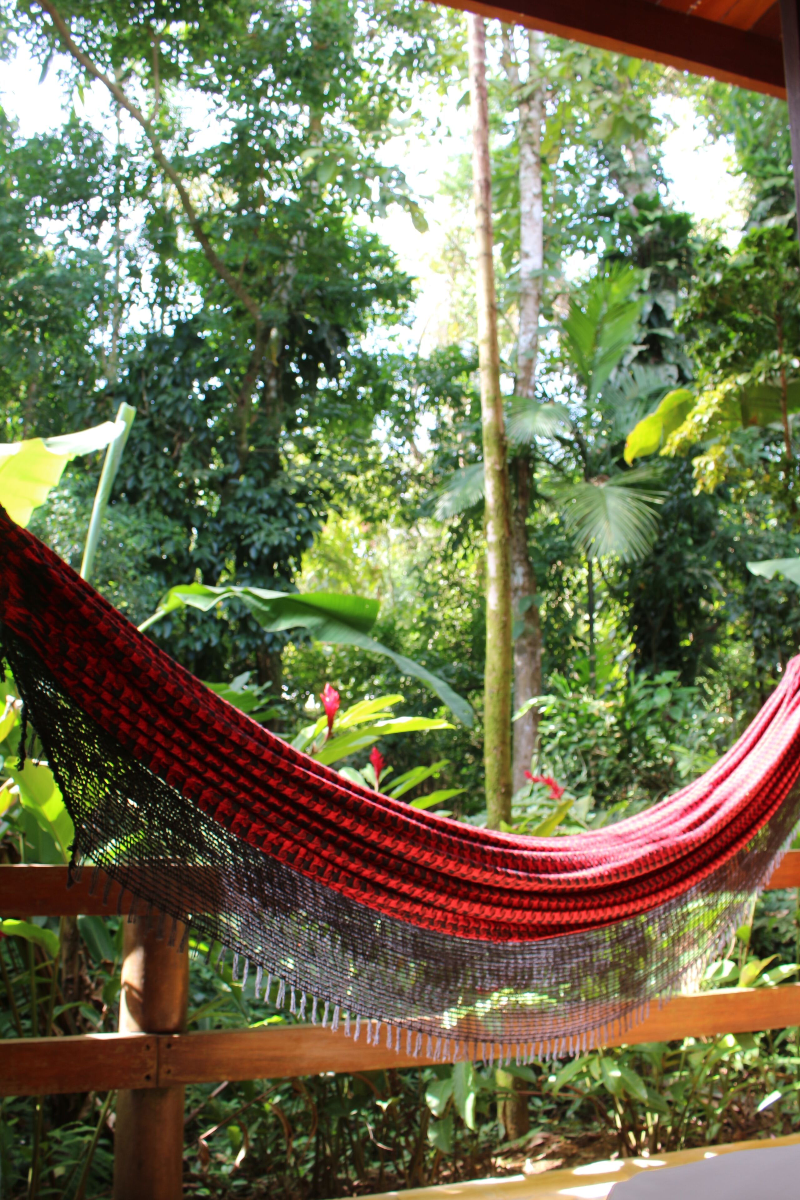 Premium bedding, minibar, in-room safe, blackout curtains