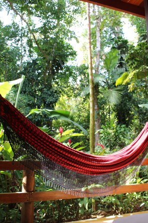 Premium bedding, minibar, in-room safe, blackout drapes