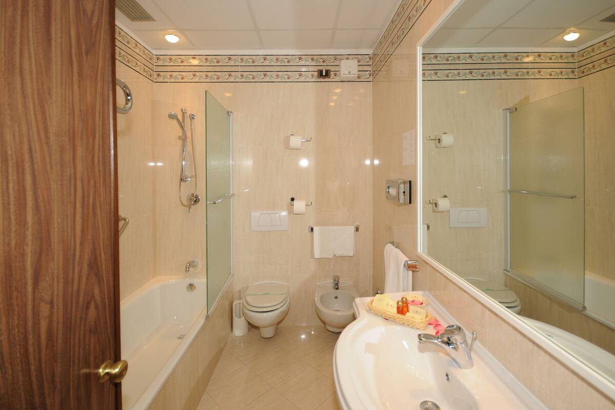 combined shower/bathtub, free toiletries, hair dryer, bidet