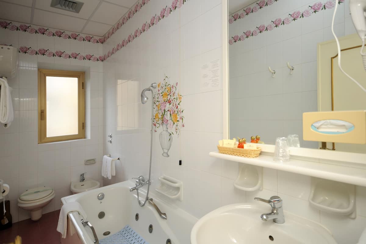 combined shower/bathtub, free toiletries, hair dryer, bidet