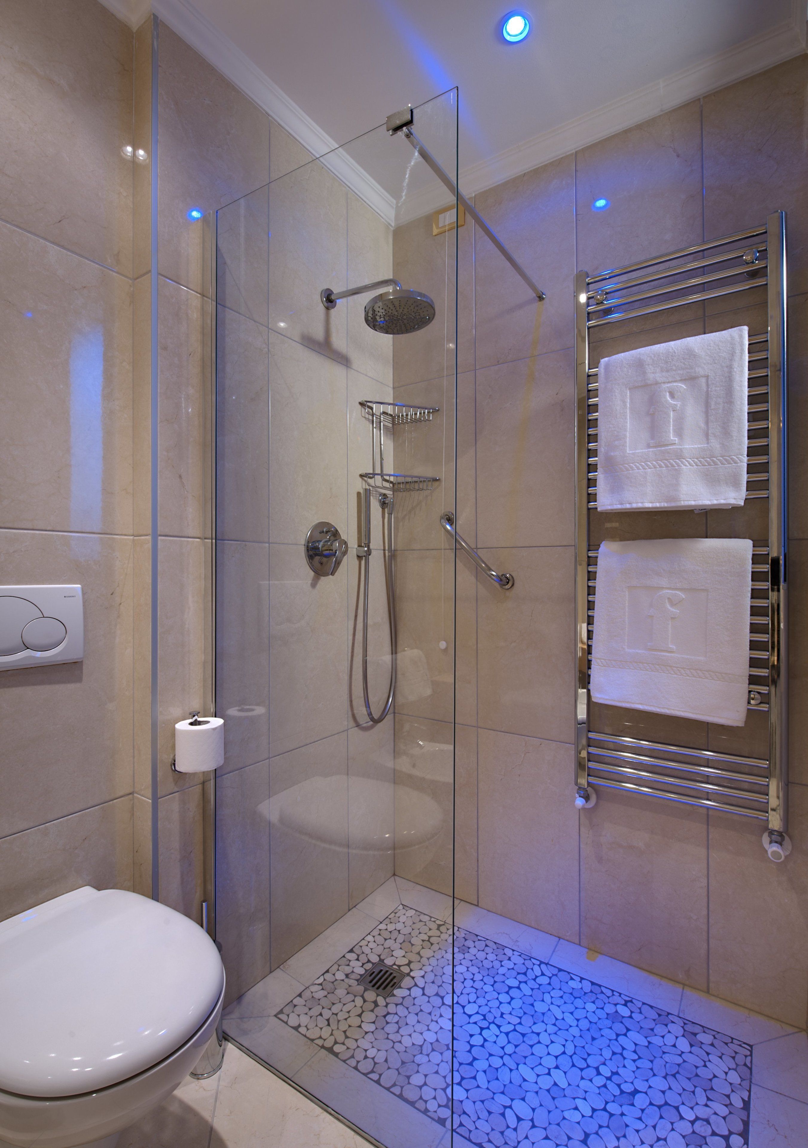 A modern bathroom with a glass-enclosed shower, a toilet, and a towel rack with two towels.