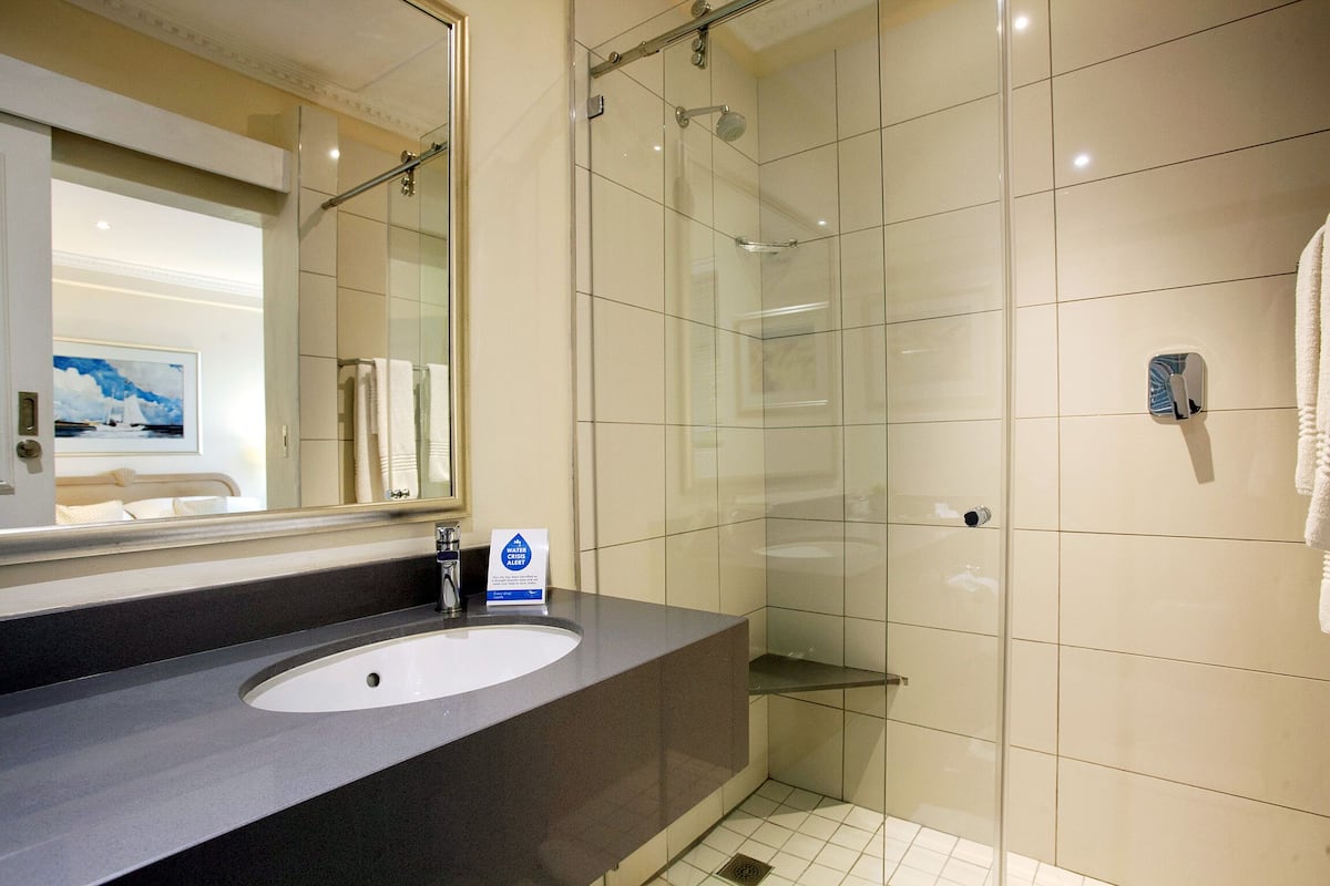 shower, free toiletries, hair dryer, towels