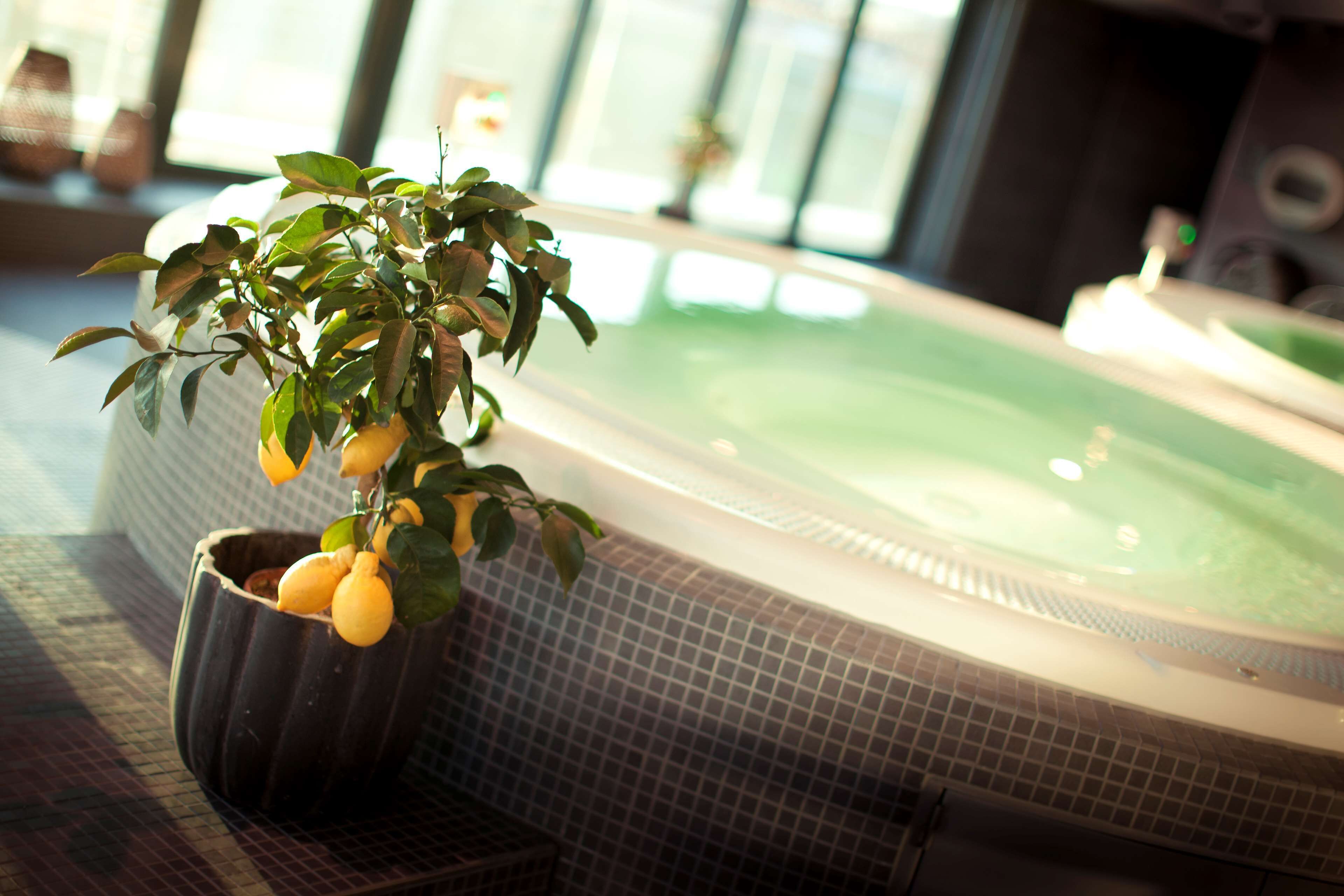A spa area with a hot tub and a potted lemon tree.