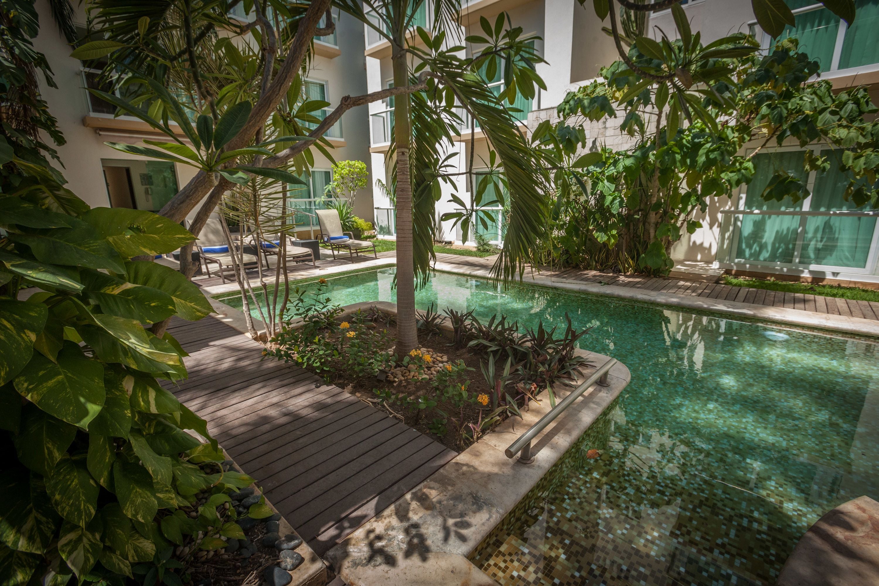 Outdoor pool, sun loungers