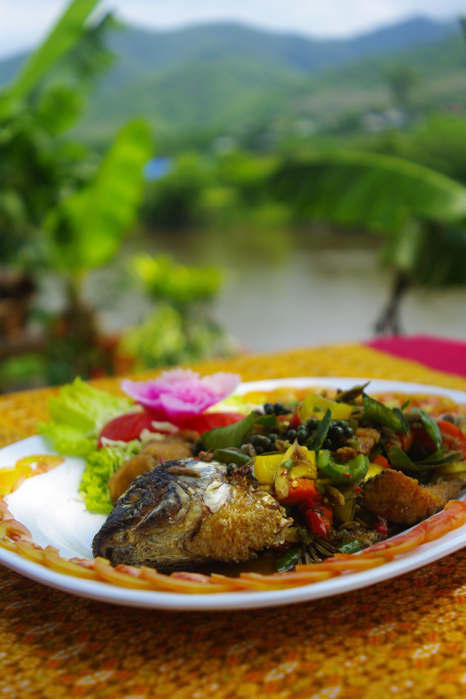 A plate of food with a fish and vegetables on a table with a yellow tablecloth.