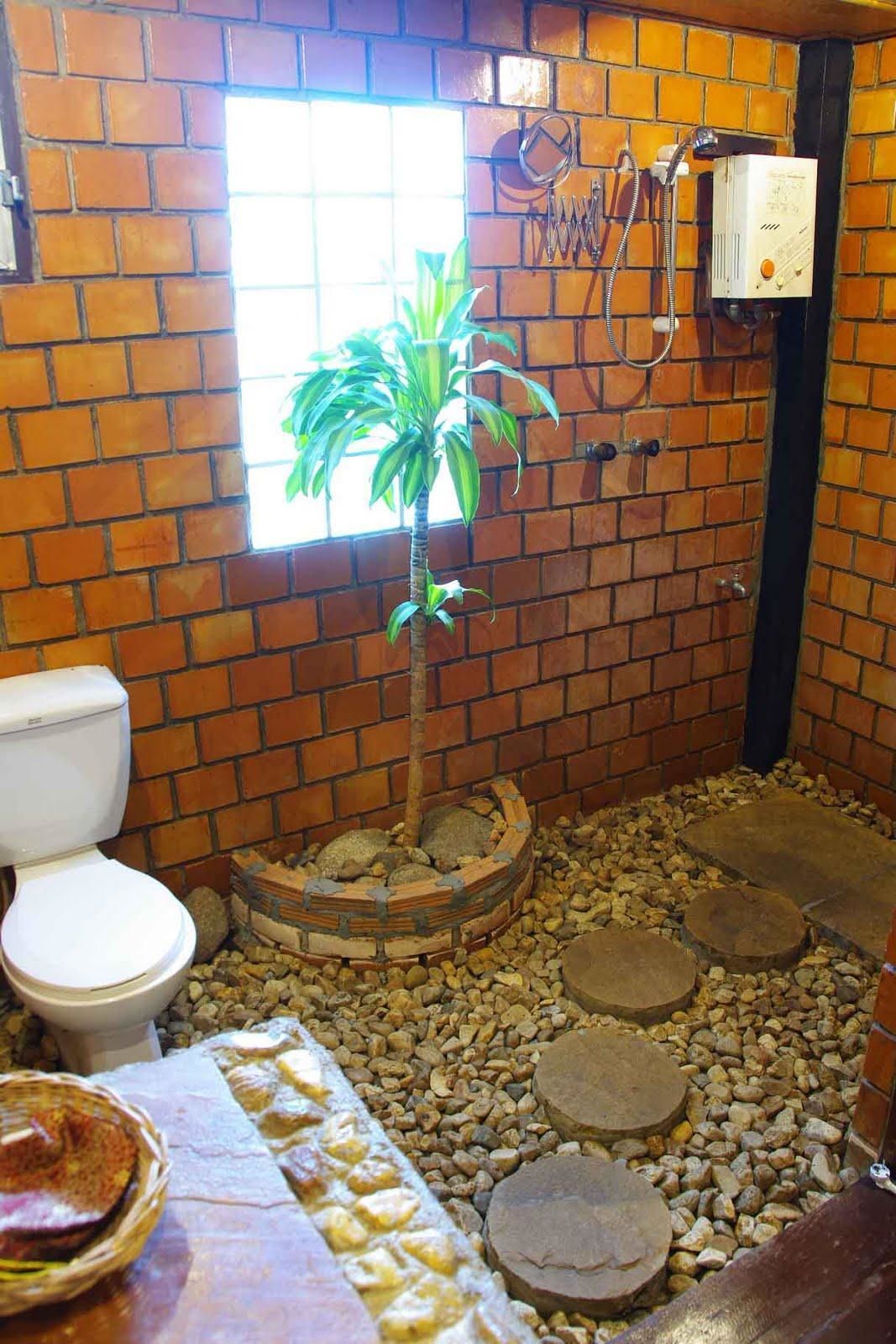 Een badkamer met toilet, douche en een kleine potplant.