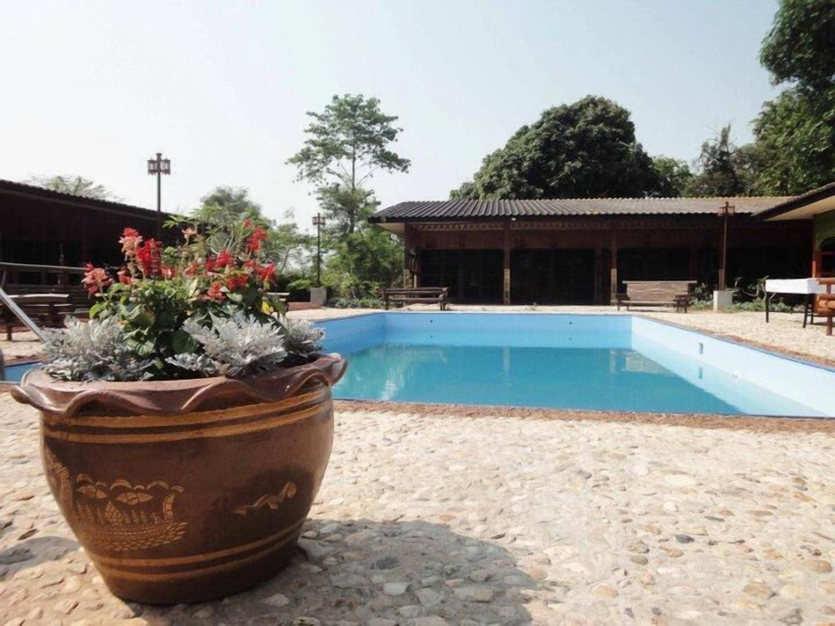 A swimming pool with a tiled deck, surrounded by a covered seating area and a large potted plant with flowers.