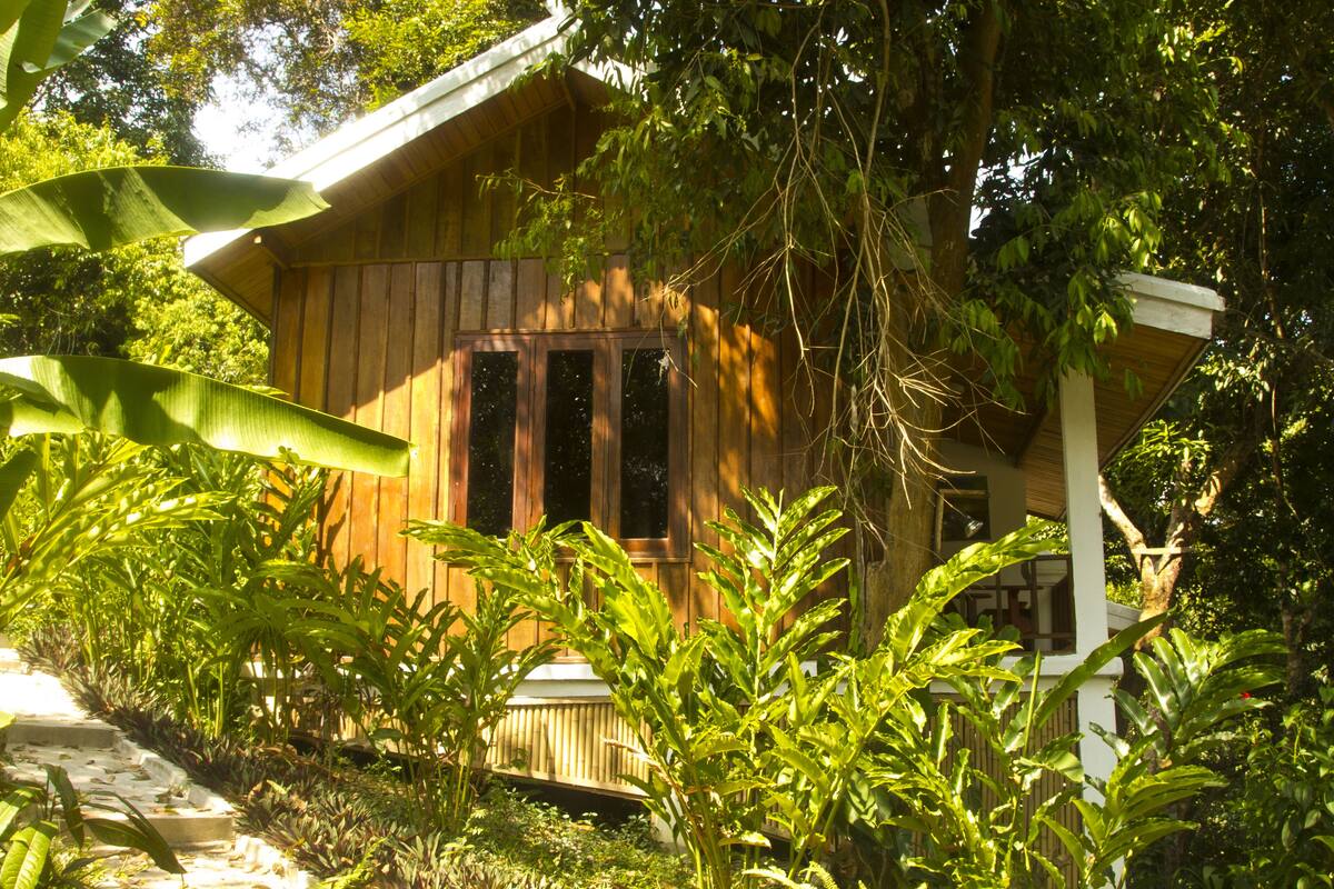 Une maison en bois entourée d’une végétation luxuriante.