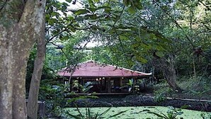 A traditional wooden structure with a tiled roof, surrounded by dense greenery and trees. - Zen Namkhan Boutique Resort (Luang Prabang)
