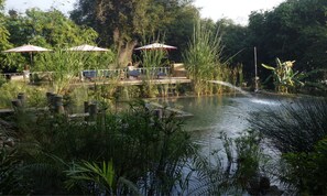 Outdoor pool, pool umbrellas, pool loungers - Zen Namkhan Boutique Resort (Luang Prabang)