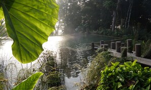 Kolam renang terbuka, payung kolam, kerusi lepak pantai 