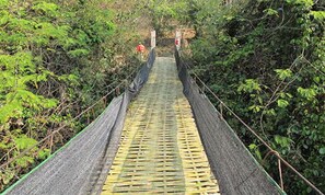 Un pont suspendu entouré d’une végétation luxuriante.