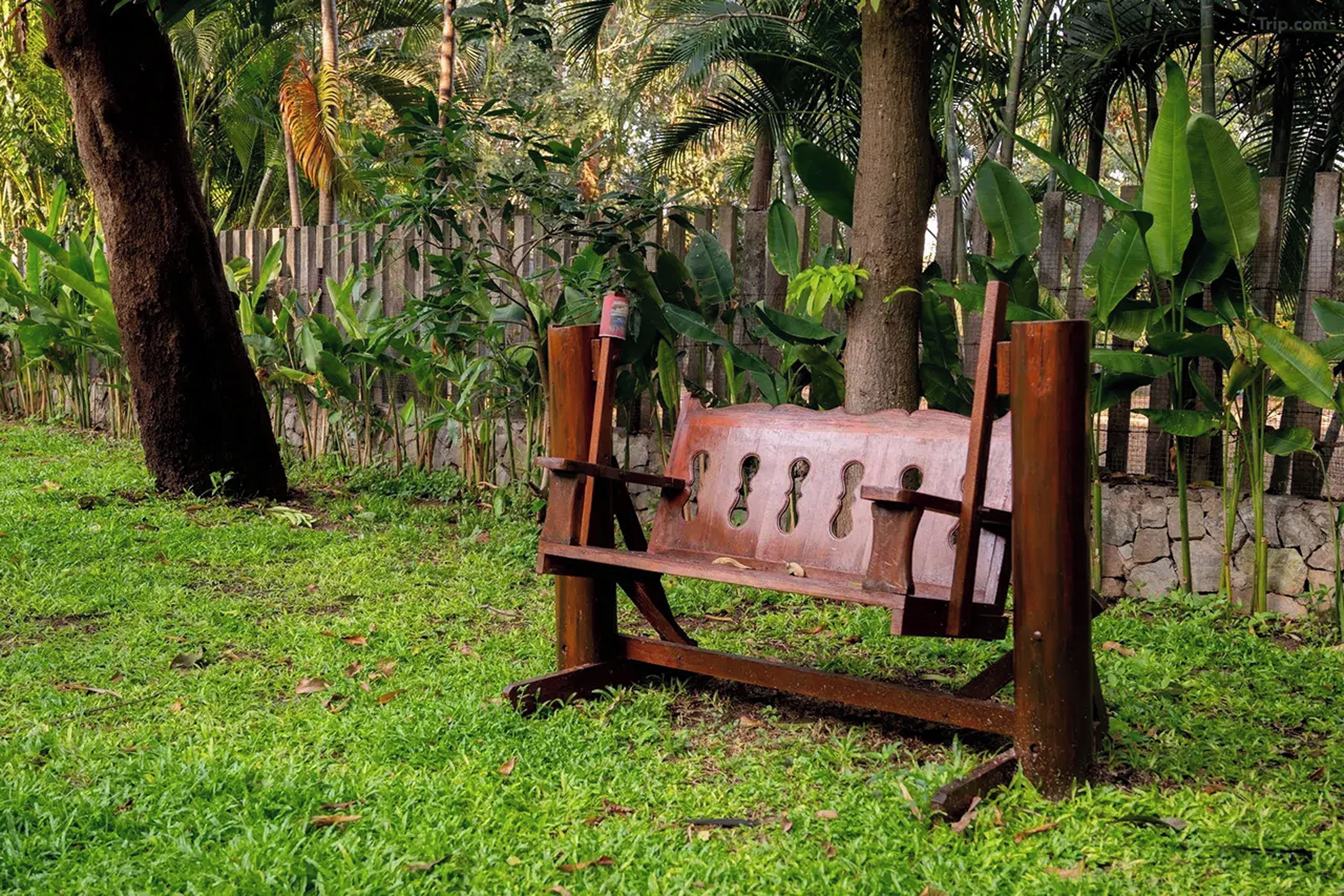 A bench with a unique design, surrounded by lush greenery and a wooden fence.