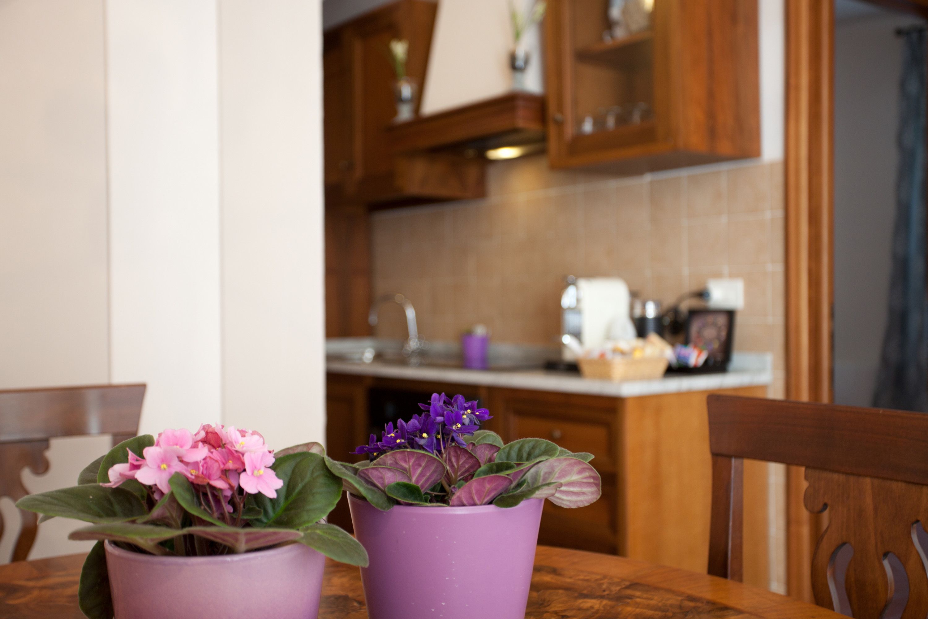 A wooden dining table with two potted plants.