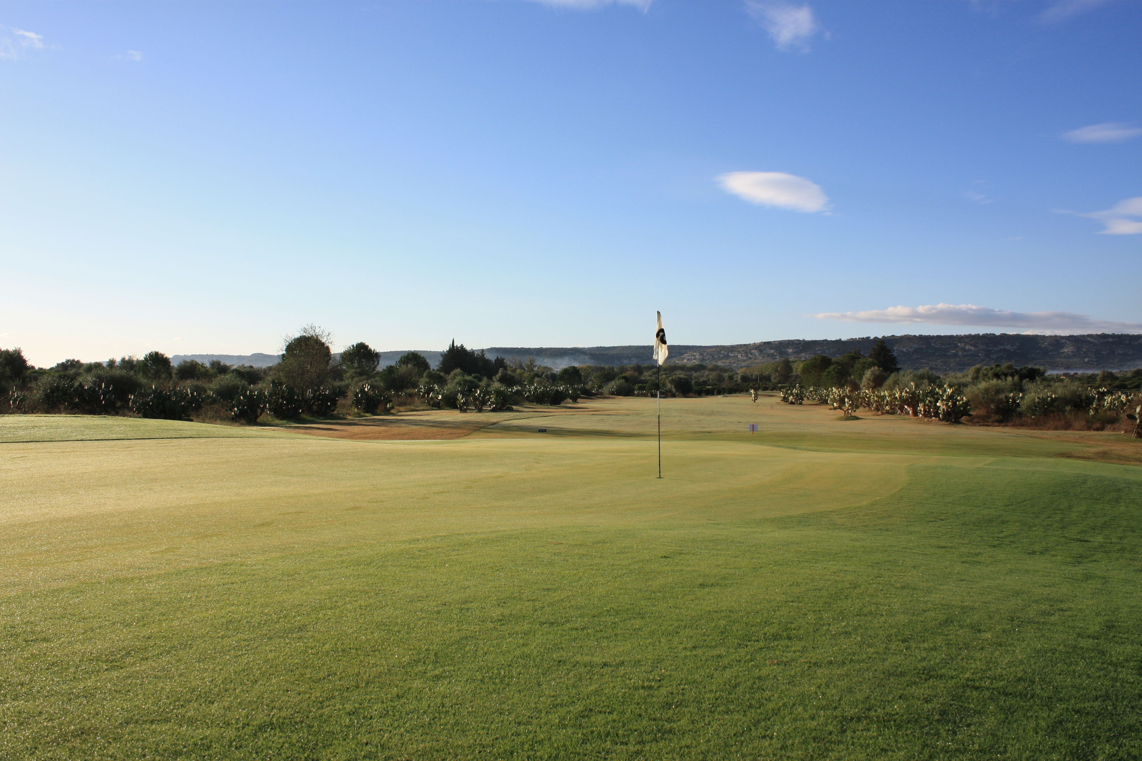 A golf course with a flagstick, trees, and a clear sky.