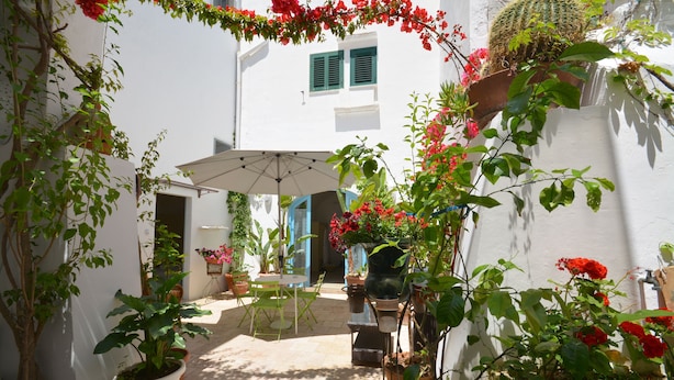 Vista al patio