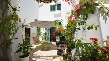Pemandangan halaman