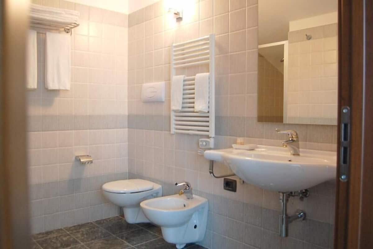 hydromassage showerhead, hair dryer, bidet, towels