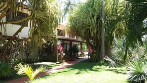 Un exuberante jardín con palmeras, un sendero y un edificio con balcón.