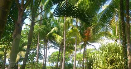 Beso del Viento - Adults Only