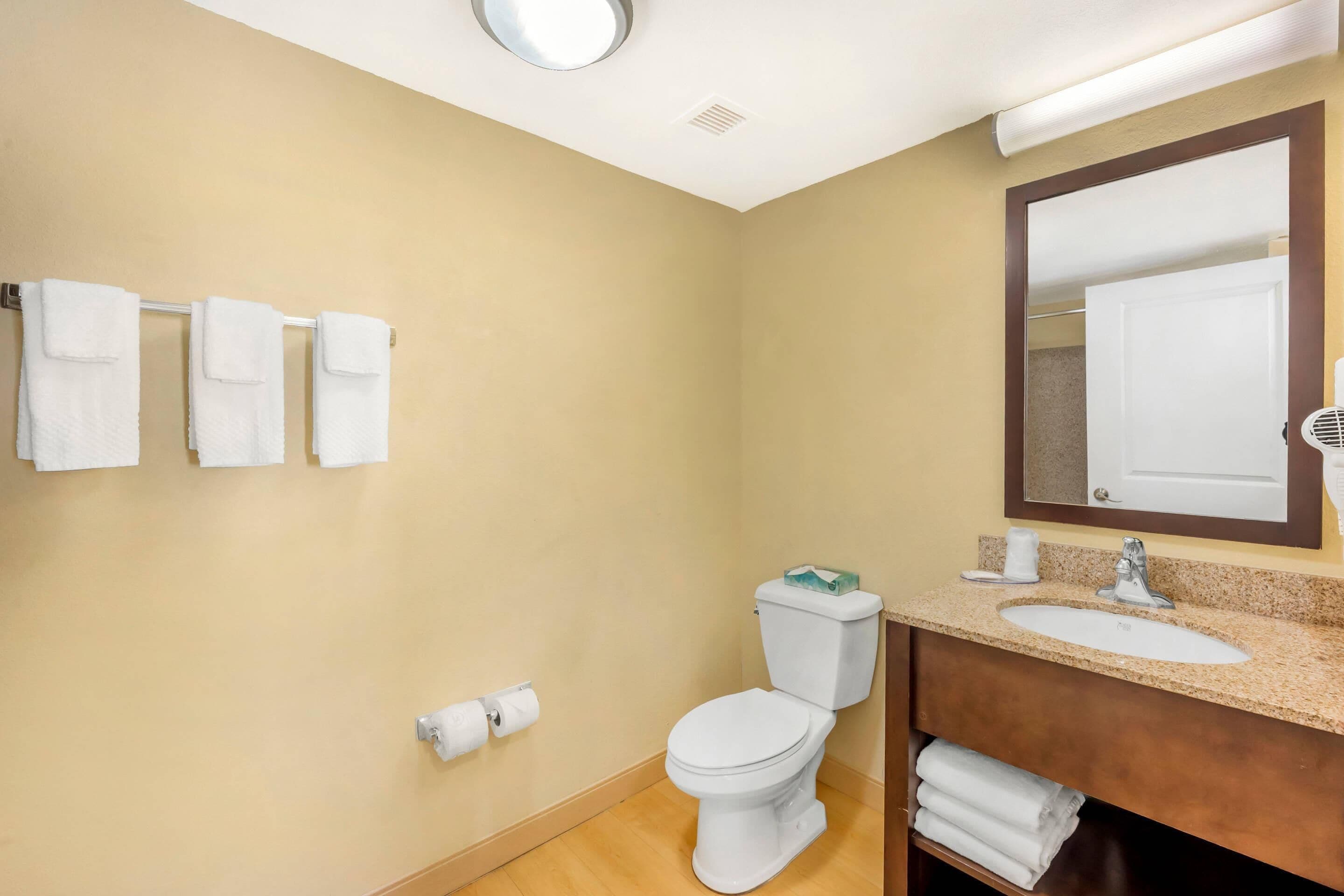 A bathroom with a toilet, sink, and mirror. There are towels hanging on the wall and a toilet paper holder.