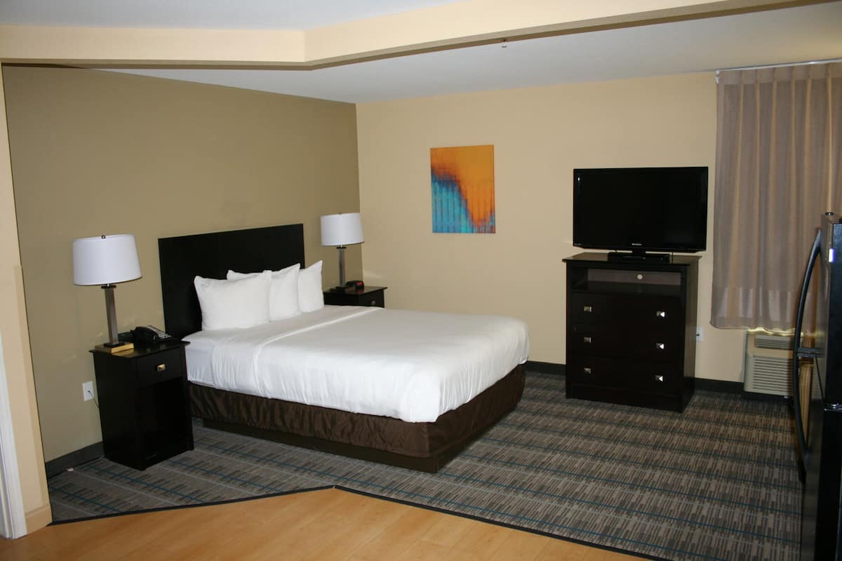 Suite, 1 grand lit, accessible aux personnes à mobilité réduite, non-fumeur (Efficiency)