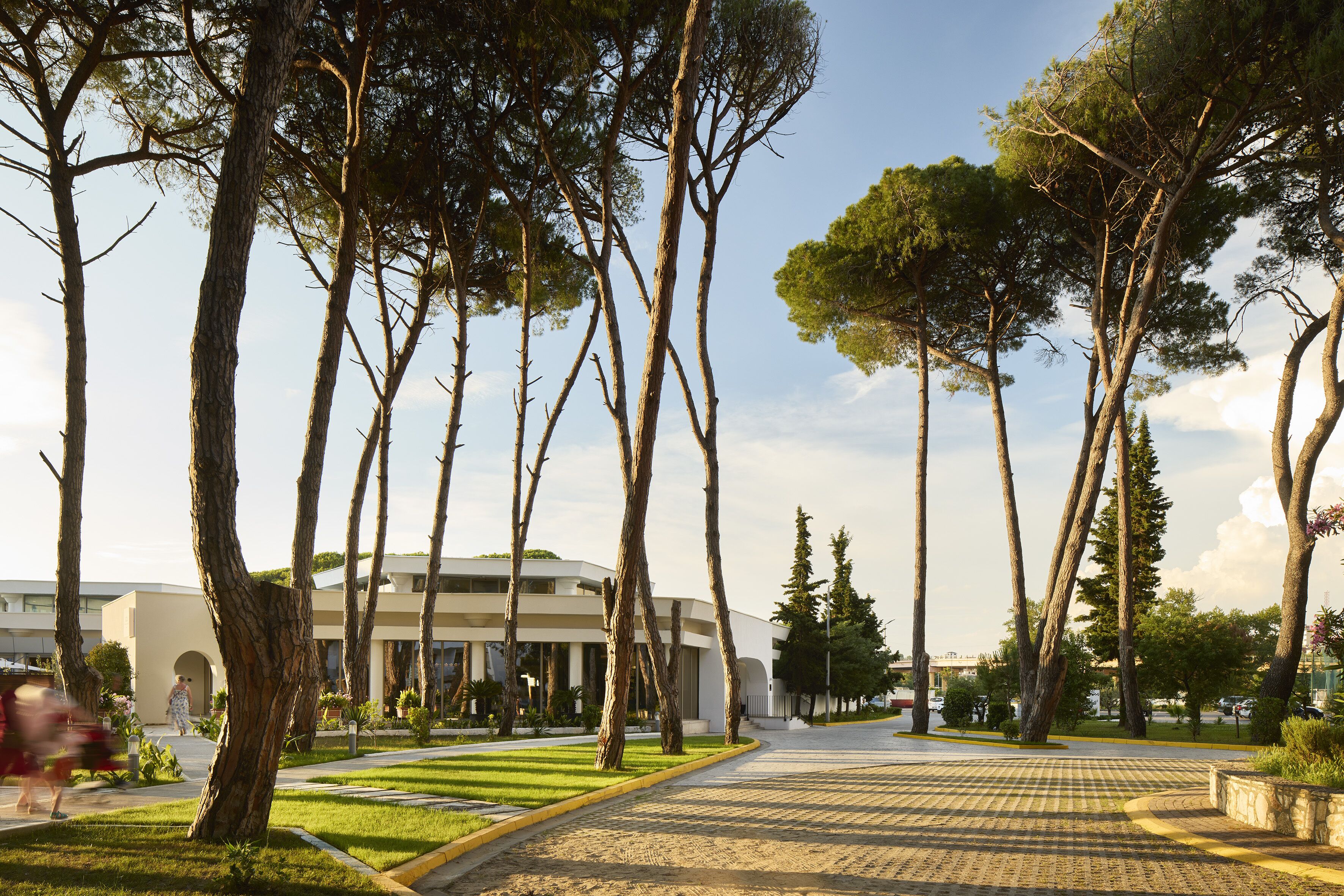 A pathway lined with tall trees leading to a modern building with a curved facade and an arched entrance.