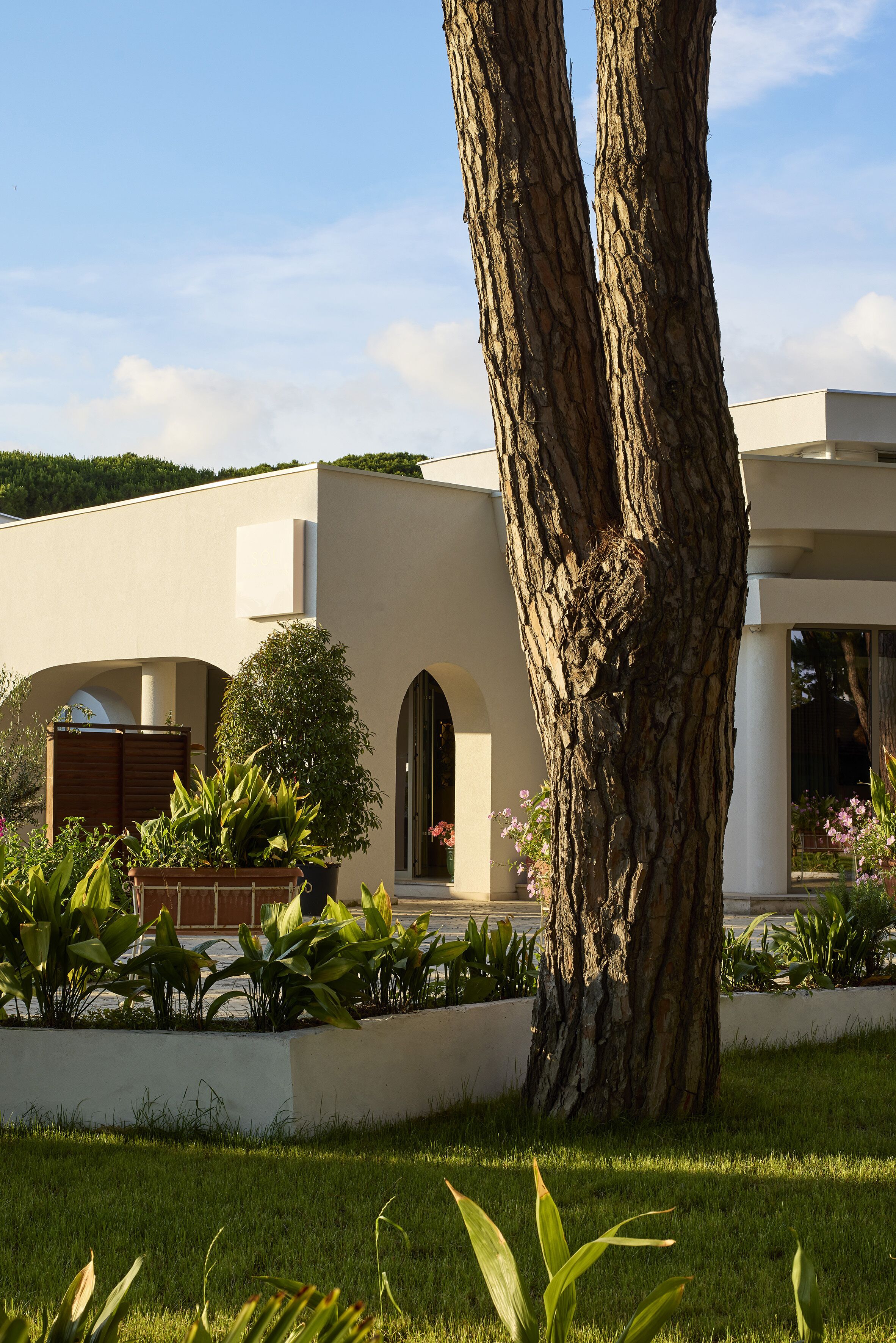 A modern building with a large tree in the foreground, a well-maintained lawn, and a clear sky.
